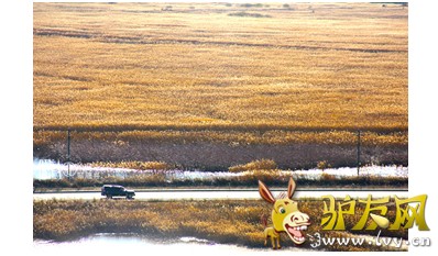 东营.jpg